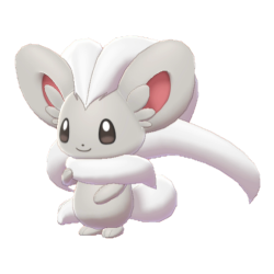 #573 Cinccino(DLC 2)